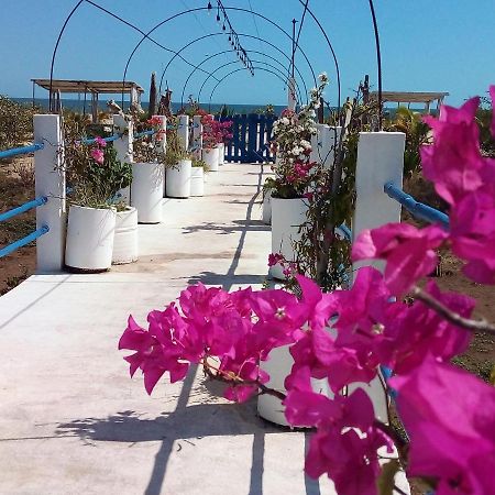 Cytyz Appart Hotel ماهاجانا المظهر الخارجي الصورة