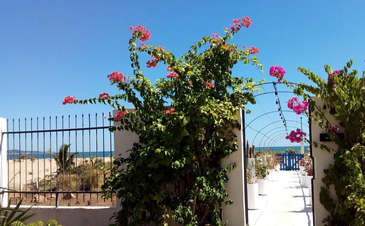 Cytyz Appart Hotel ماهاجانا المظهر الخارجي الصورة