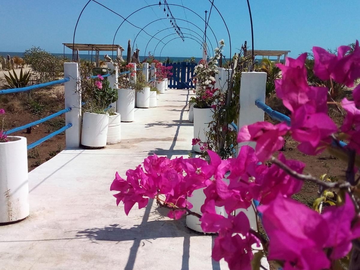Cytyz Appart Hotel ماهاجانا المظهر الخارجي الصورة