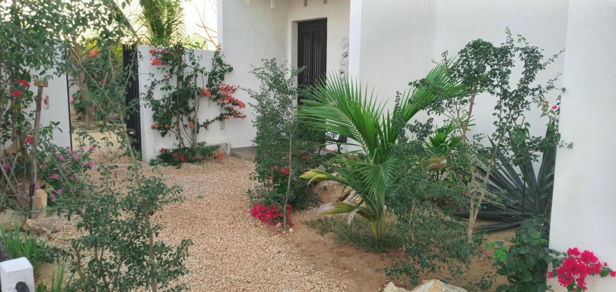 Cytyz Appart Hotel ماهاجانا المظهر الخارجي الصورة