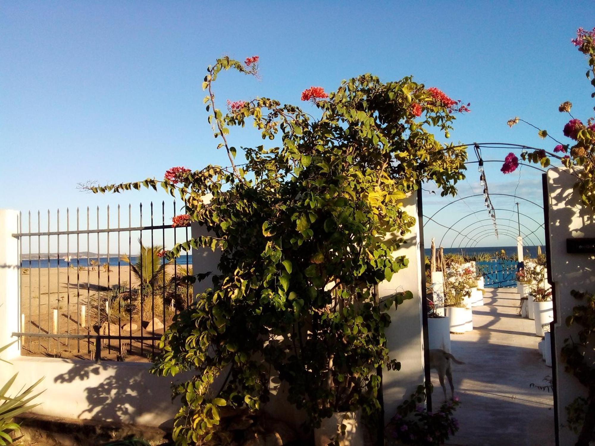 Cytyz Appart Hotel ماهاجانا المظهر الخارجي الصورة