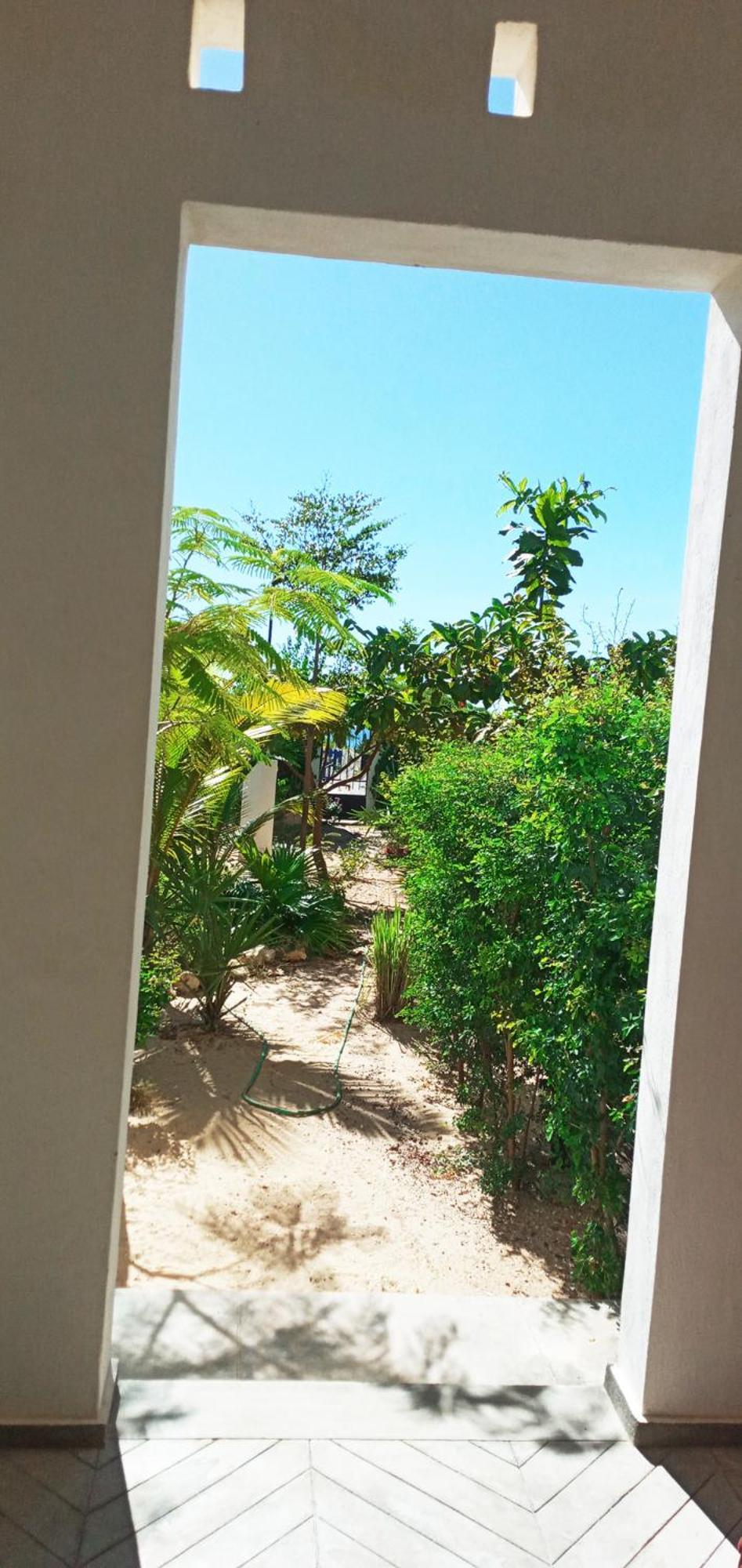 Cytyz Appart Hotel ماهاجانا المظهر الخارجي الصورة