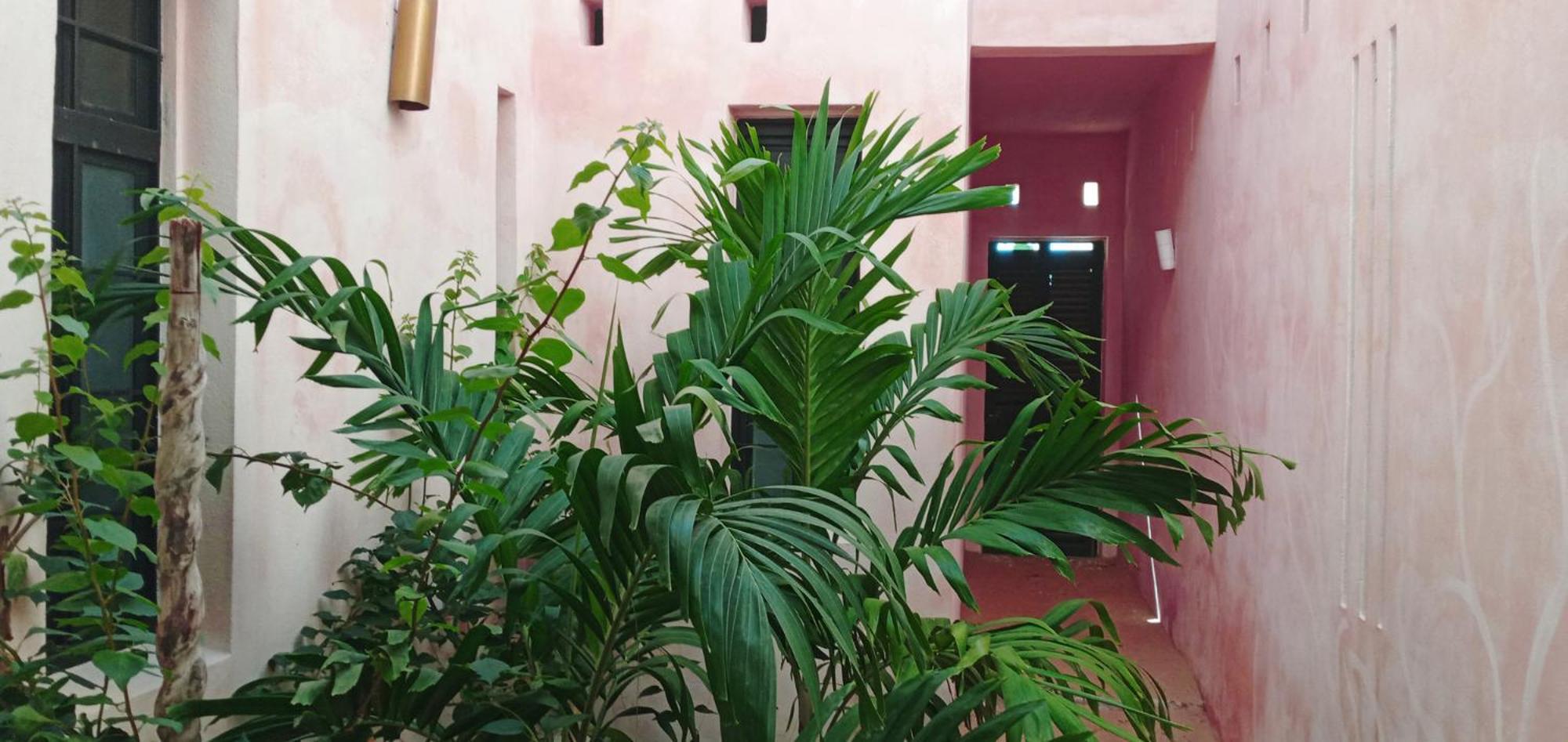 Cytyz Appart Hotel ماهاجانا المظهر الخارجي الصورة